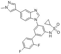 product-205-182