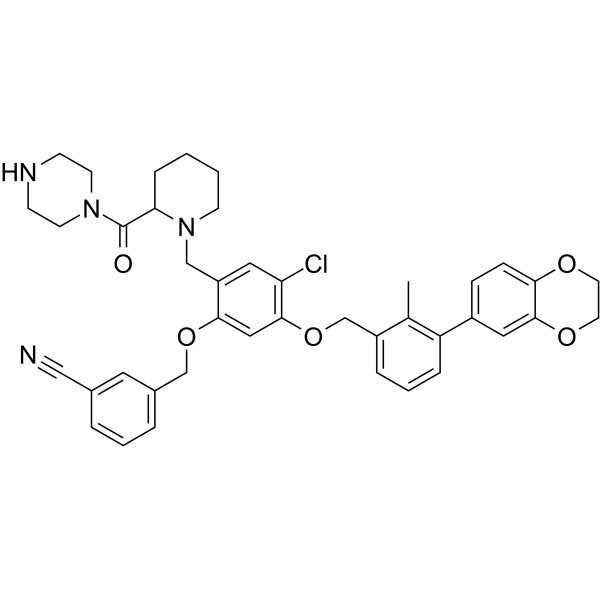 BMS-1166-N-piperidina-CO-N-piperazina N. CAS: 2447066-14-8